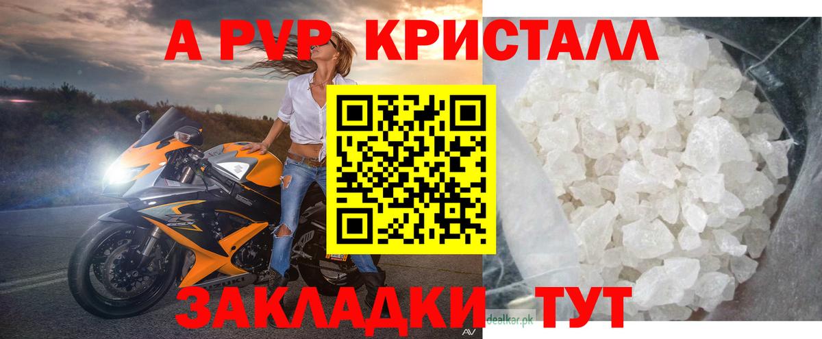 A PVP СК КРИС Надым
