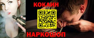 индика Сланцы