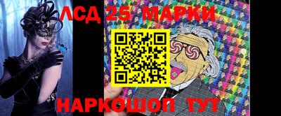 индика Сланцы