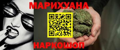 индика Сланцы