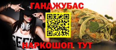 индика Сланцы