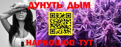 индика Сланцы