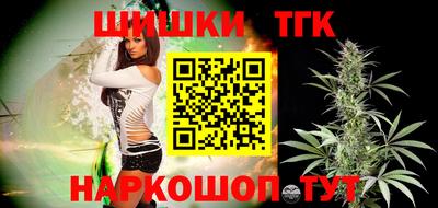 индика Сланцы