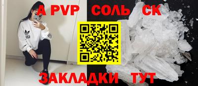 индика Сланцы